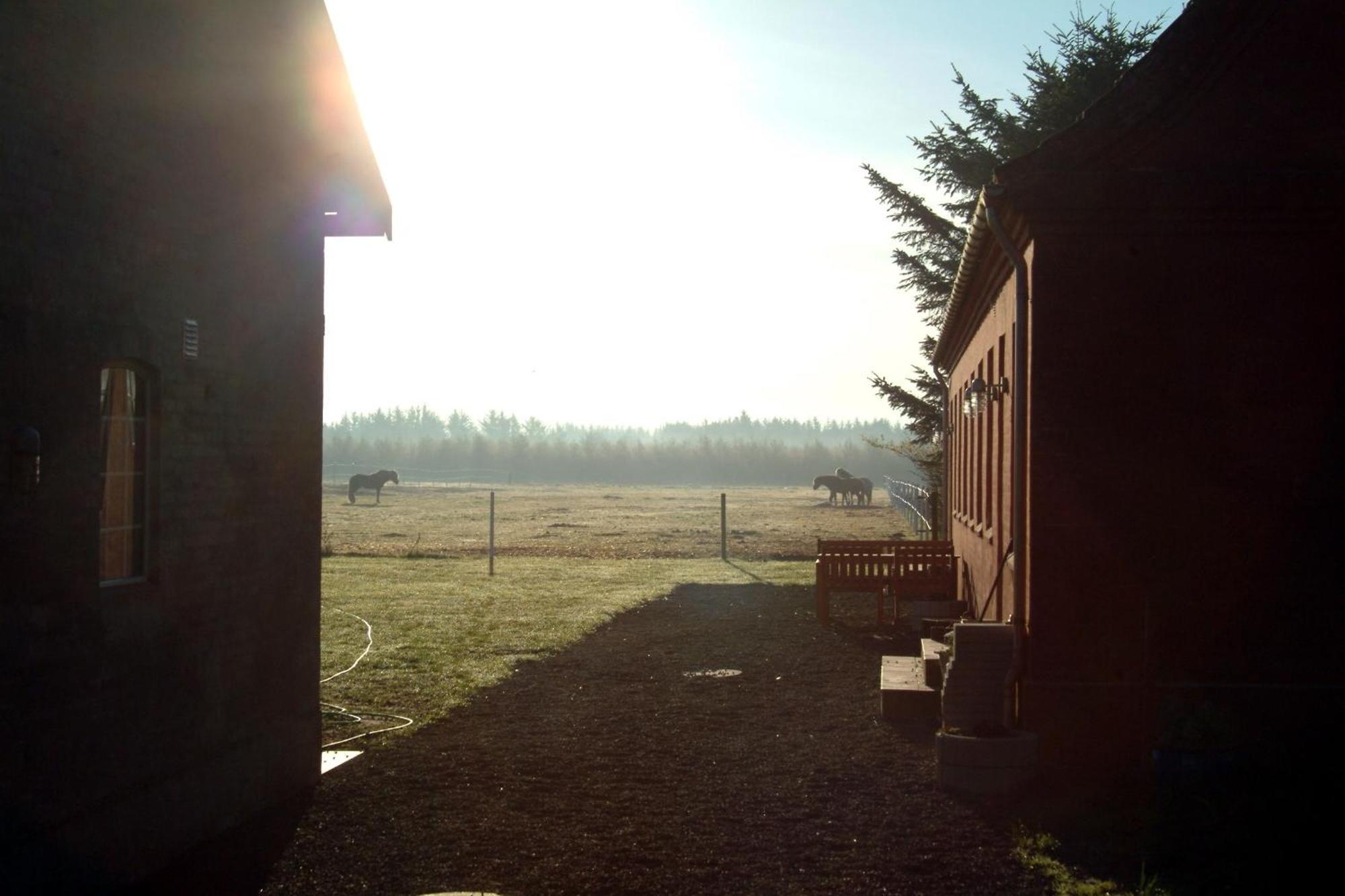 Nordkap Farm & * Bindslev