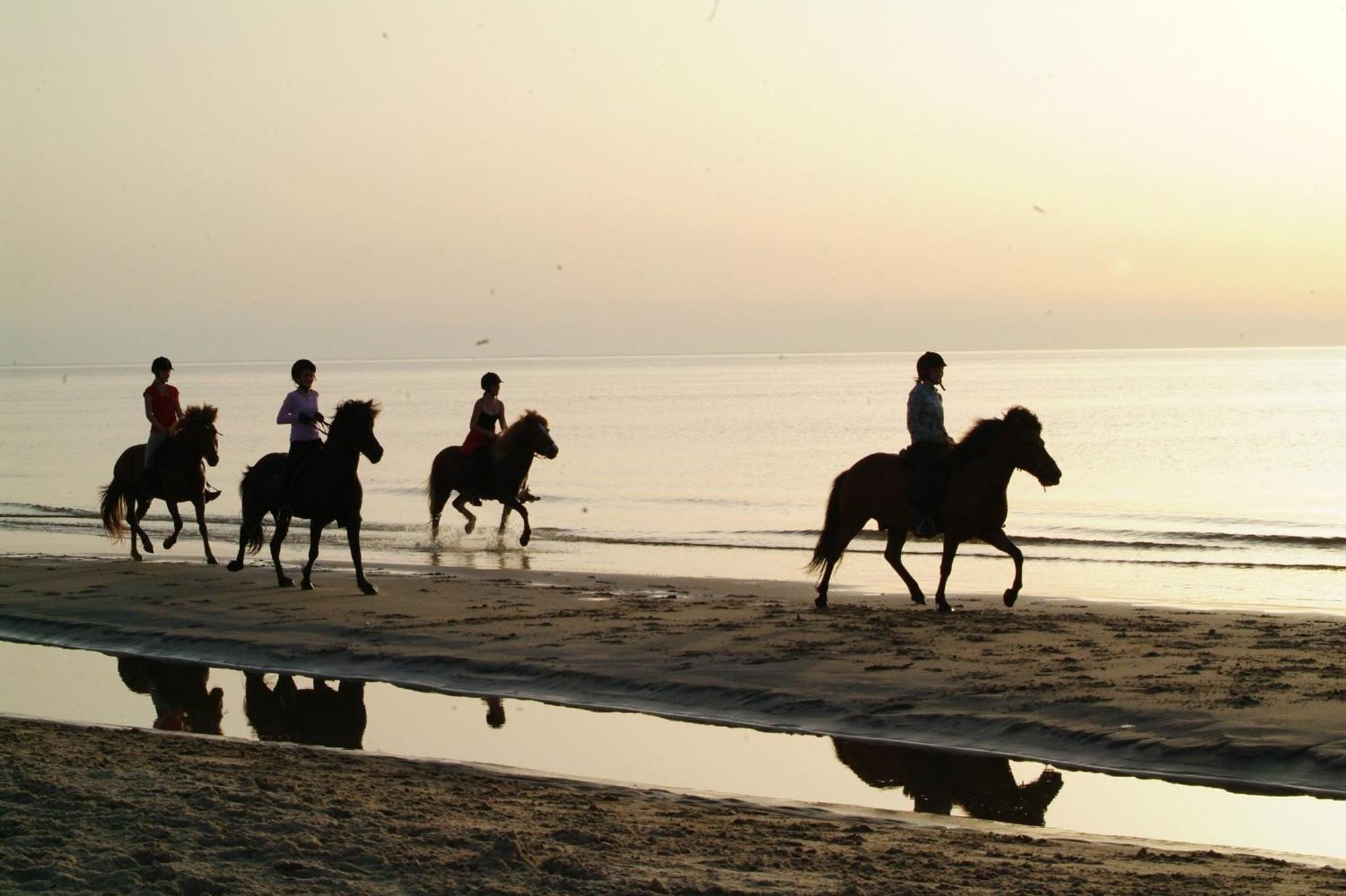 Agroturismo Nordkap Farm &