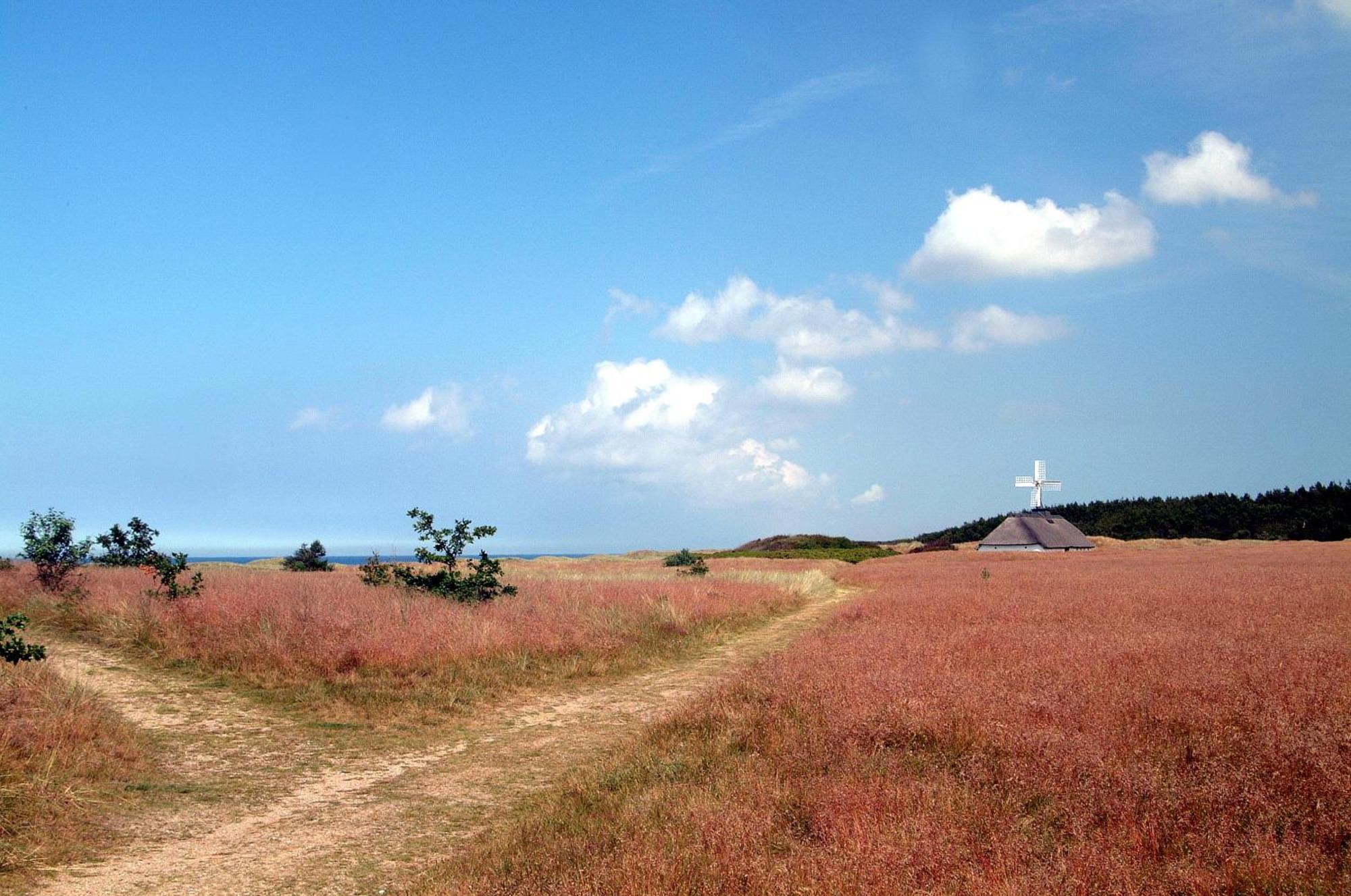 Nordkap Farm & Farm stay