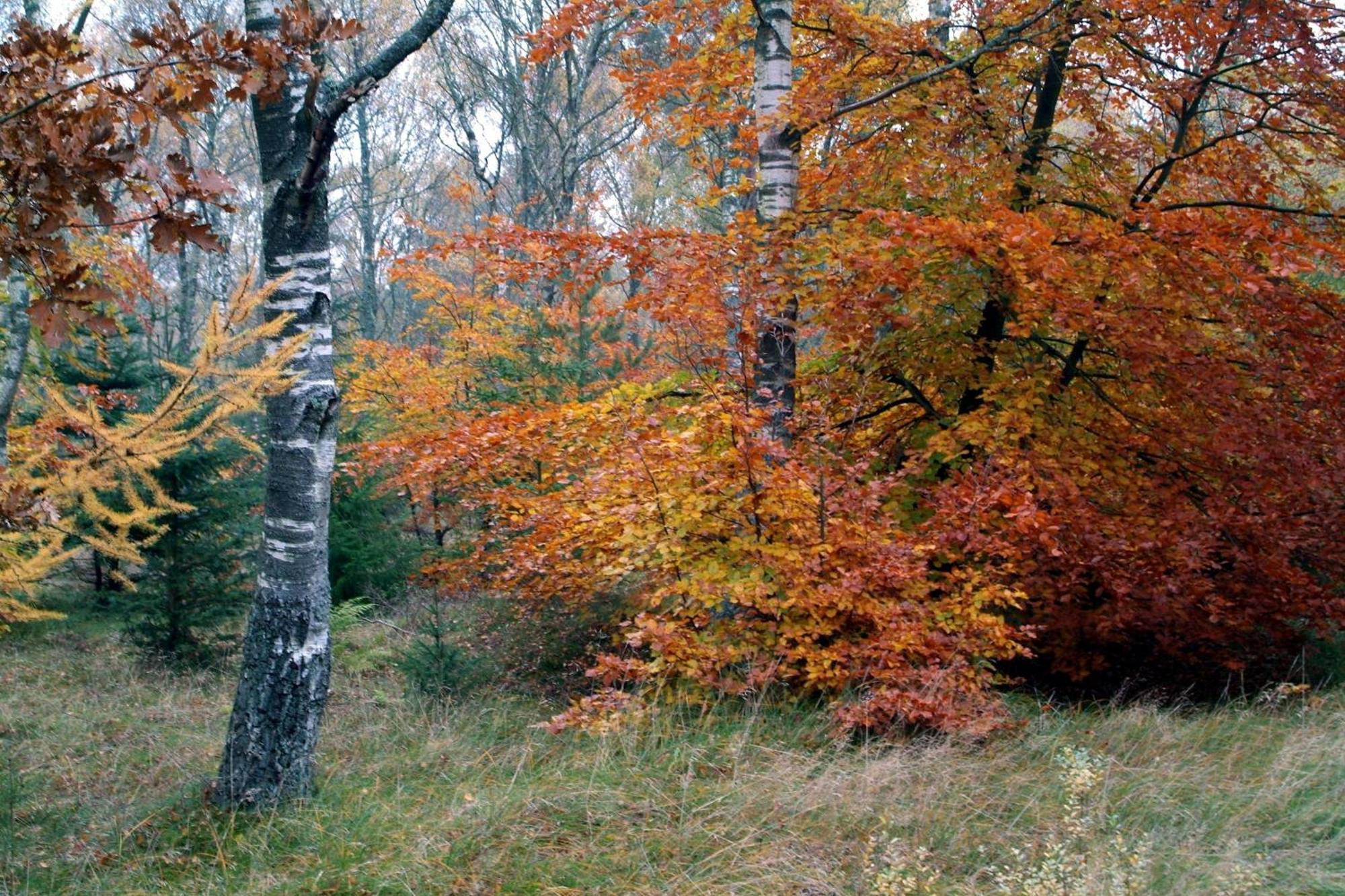 Nordkap Farm & Bindslev