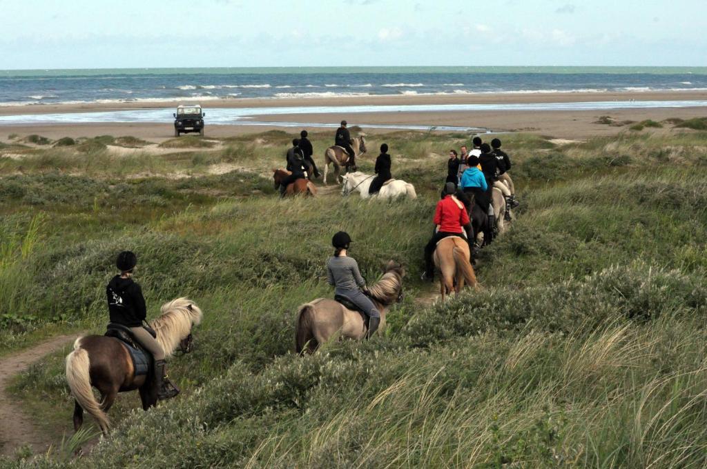 Nordkap Farm & Farm stay *
