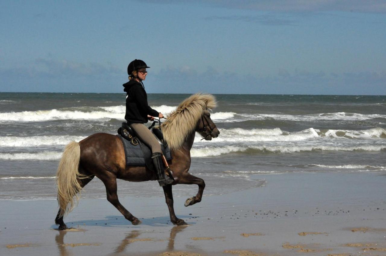 Nordkap Farm & Farm stay *